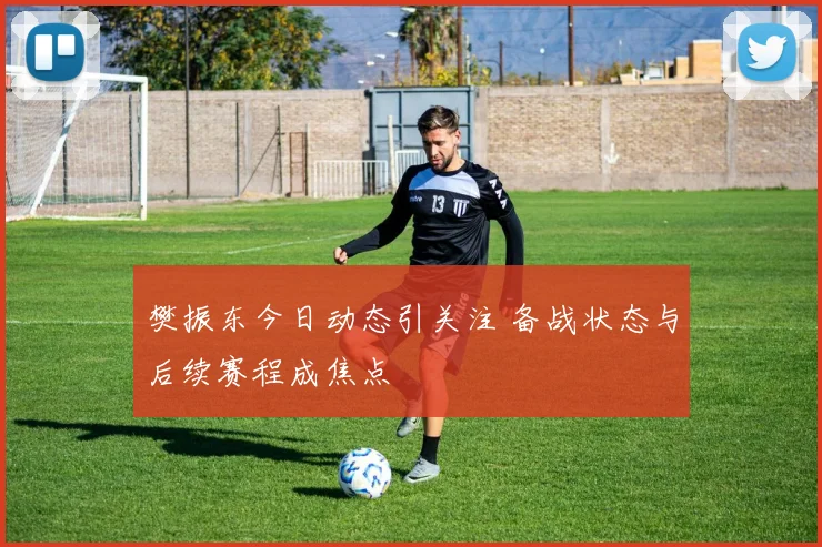 樊振东今日动态引关注 备战状态与后续赛程成焦点